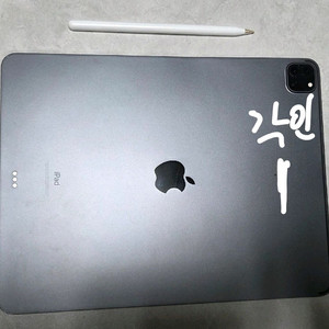 iPad Pro 4세대 12.9 + 애플펜슬 2세대