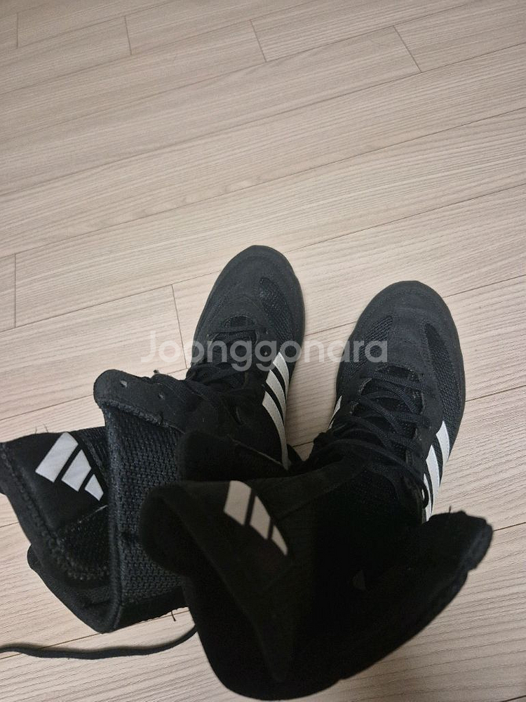복서호그2 265 새상품팔아요.복싱화--0