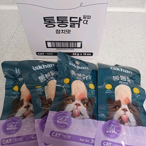 고양이 이즈칸 통통닭 참치맛