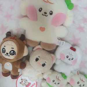 아이브 인형 미니니 안땅콩 유니니 체리니 미니브