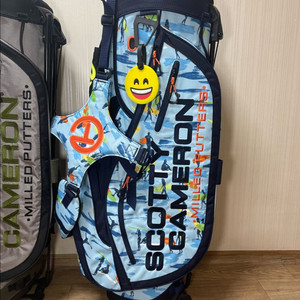 스카티카메론 서퍼 스탠드백