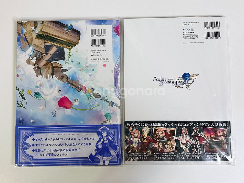 소피의 아틀리에 에스카 로지의 아틀리에 아트북--1