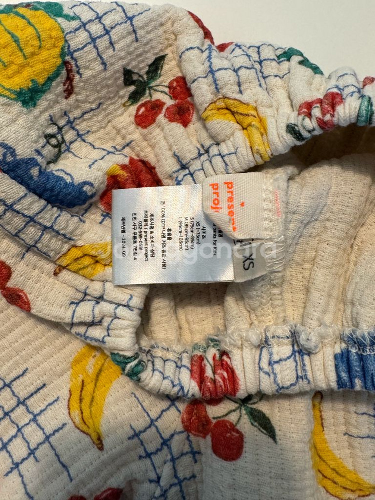 프프 고쟁이 강아지, 과일 xs 일괄--1