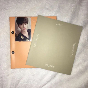 세븐틴 헹가래 앨범 + 디노 포카