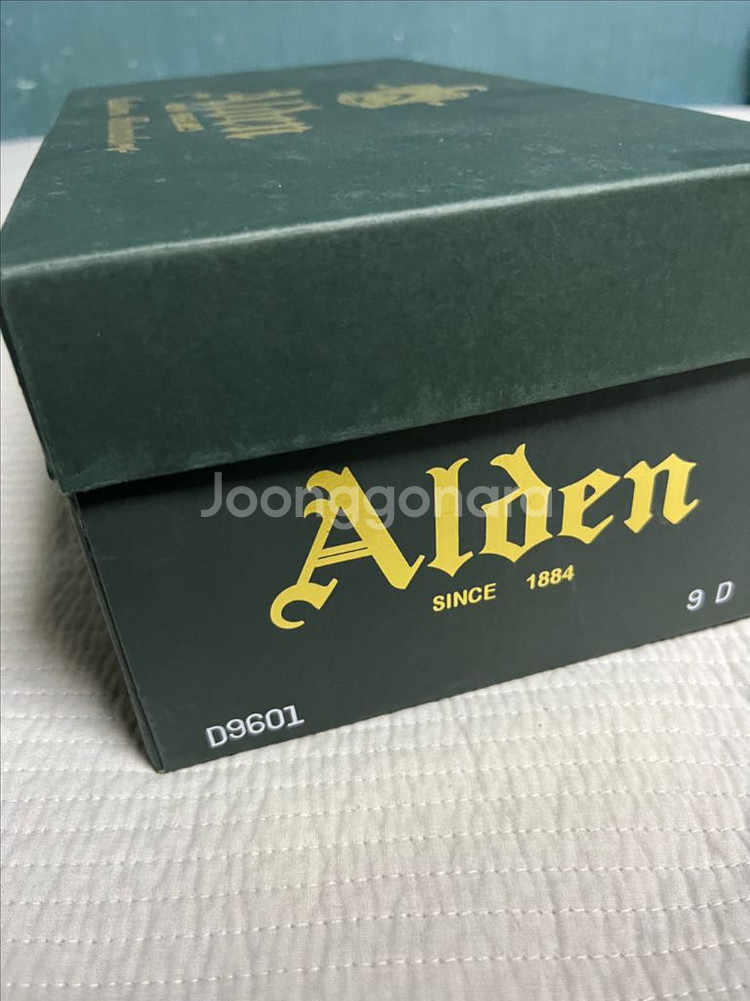 알든 NST Blucher 9D 다크브라운 스웨이드--5