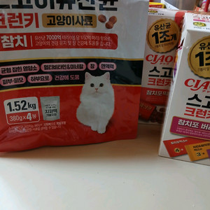 이나바스고이유산균사료