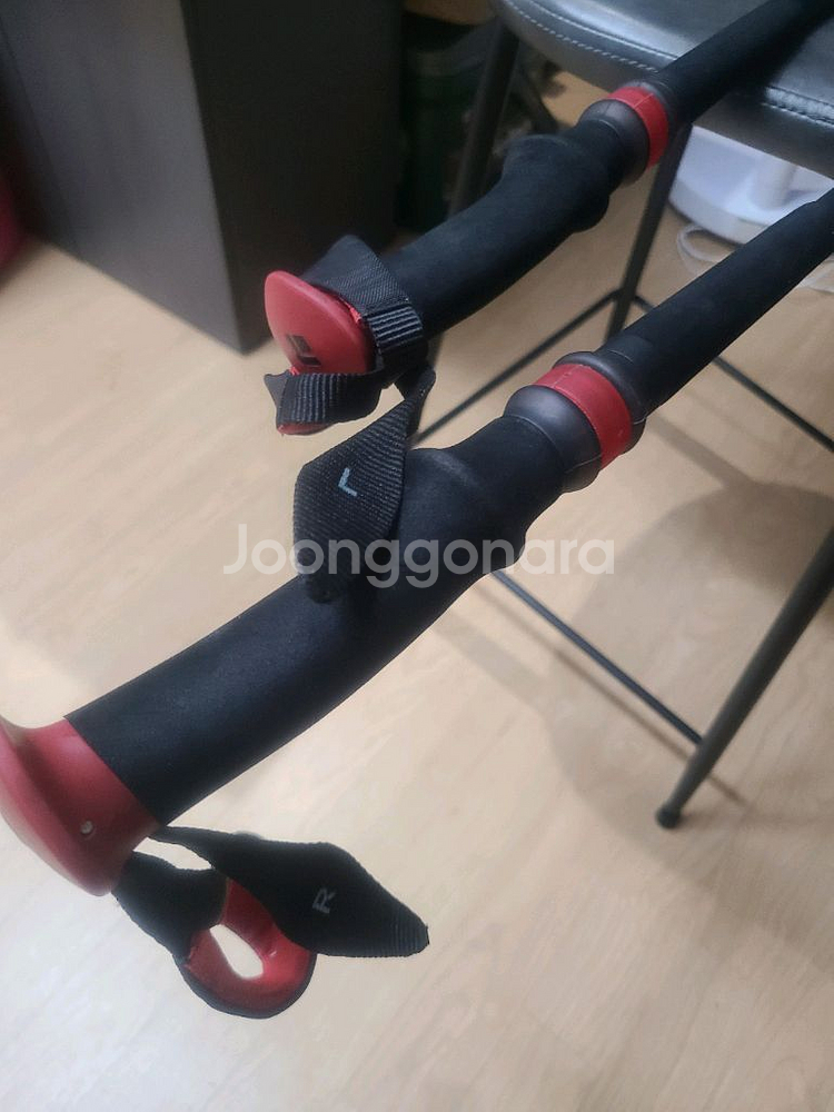 블랙다이아몬드 트레일 프로 샥 등산스틱--3