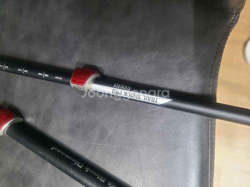 블랙다이아몬드 트레일 프로 샥 등산스틱--1