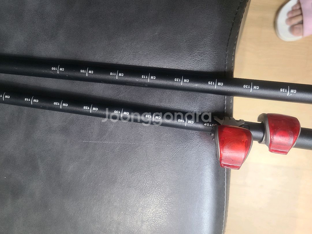 블랙다이아몬드 트레일 프로 샥 등산스틱--2