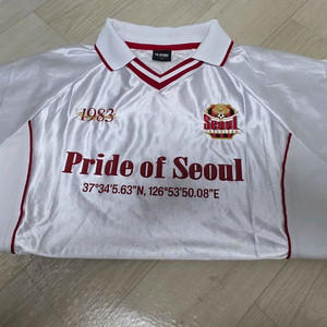 FC서울 클래식 카라티