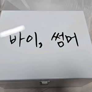 아이유 팝업 바이썸머 미니어쳐 기타