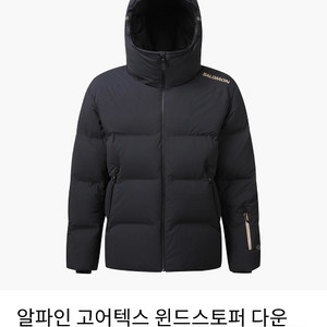 (살로몬패딩)알파인 고어텍스 윈드스토퍼 다운자켓