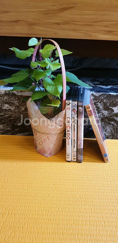 영화 DVD 반지의제왕 외 3개--7