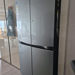 엘지 디오스 냉장고 F871TS56