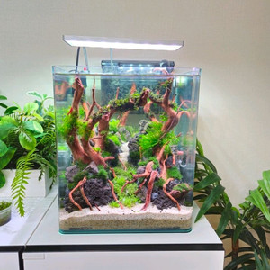 30큐브 수조 일괄 네고가능