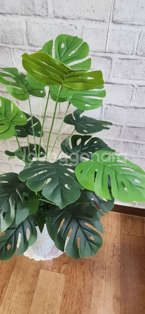 새상품)생화같은 대형 몬스테라 조화 대형철제 화분--2