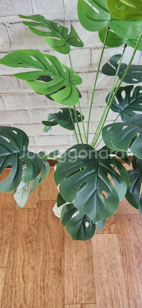 새상품)생화같은 대형 몬스테라 조화 대형철제 화분--5