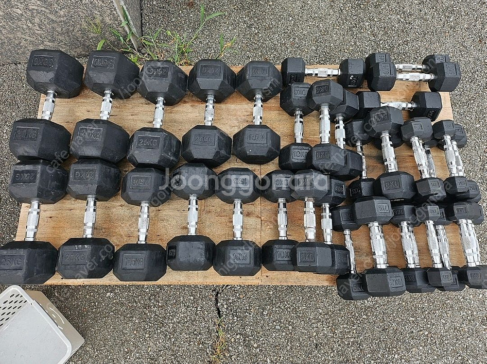 베스코 육각덤벨 팝니다 1kg~40kg--0