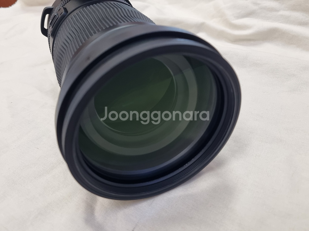 시그마 S 150-600mm F5-6.3 DG DN--3