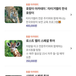 에버랜드 스페셜투어 팝니다