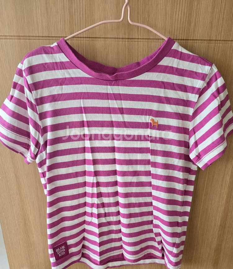 블루독 반팔 티셔츠--0