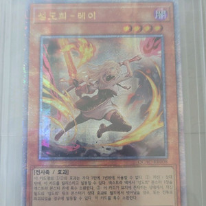 유희왕 섬도희 레이 쿼터센츄리시크릿레어 쿼싴