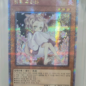 우희왕 하루 우라라 신일러 쿼터센츄리시크릿레어 쿼싴