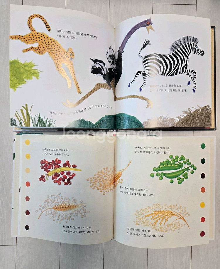 웅진 첫지식그림책 콩알(58권)(택포)--5