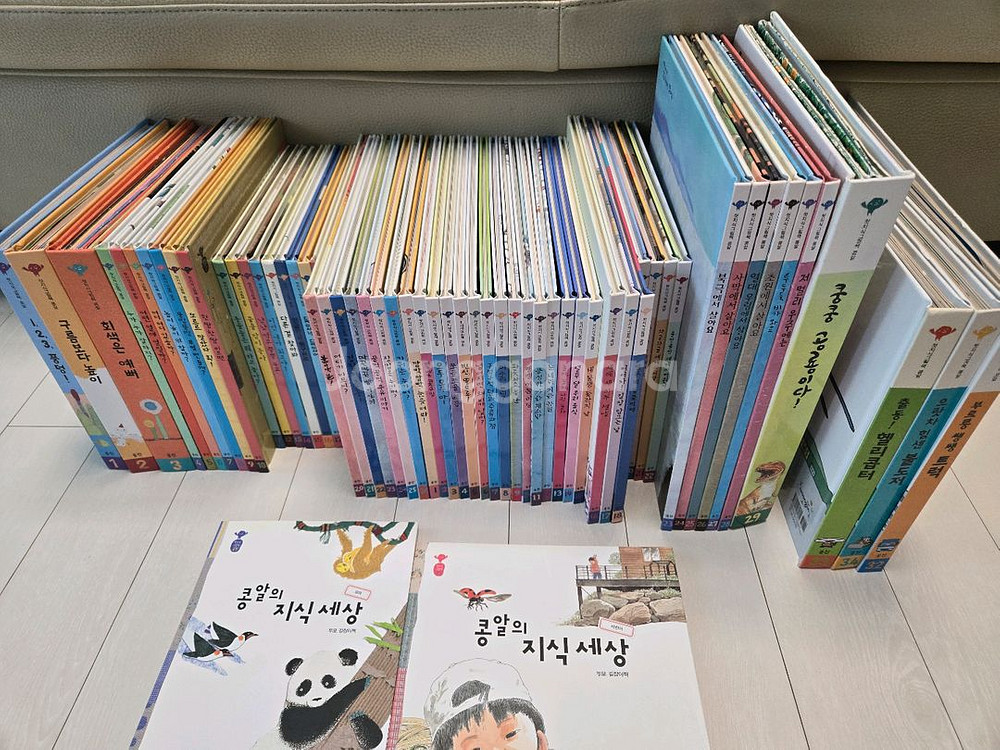 웅진 첫지식그림책 콩알(58권)(택포)--1