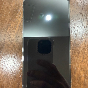 아이폰 13pro 256GB_그래파이트