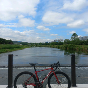 2024 자이언트 tcr 어드밴스2(xs)-가격 내림