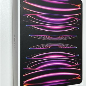 아이패드 프로 12.9 (6th) 512gb 셀룰러