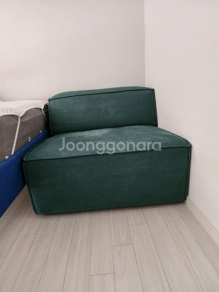 소파 에싸 바크 , 무니토 컴피 쇼파--2