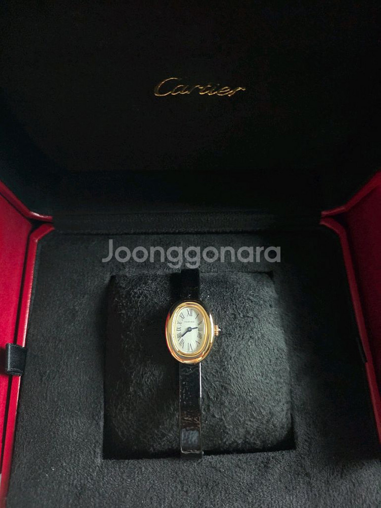 까르띠에 베누아 미니--0
