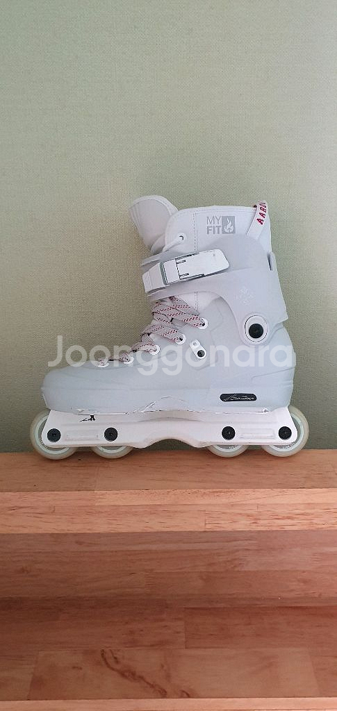 어그레시브 인라인 스케이트 에이온 아론페인버그--0