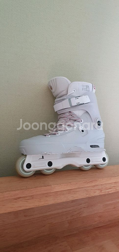 어그레시브 인라인 스케이트 에이온 아론페인버그--1