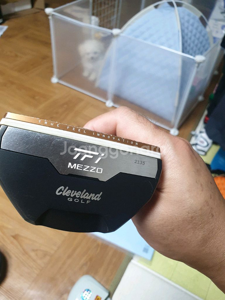 클리브랜드 센터퍼터 팔아요--0