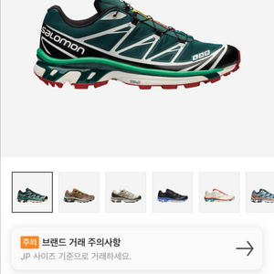 살로몬 xt-6 딥그린 275