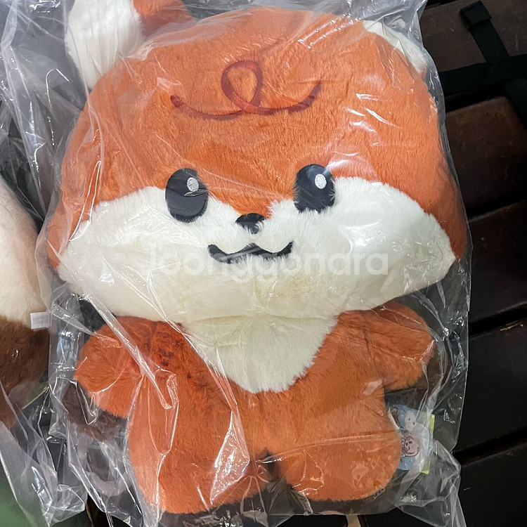 런쥔 빅쿠션 대형인형 엔시티 드리미즈 팝업 쭌--0