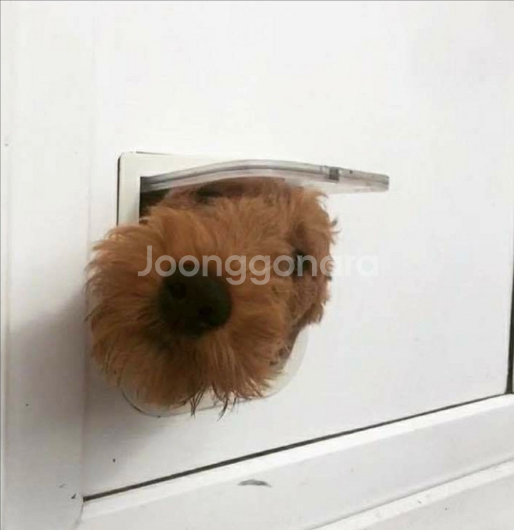 아웃백 빕스 15퍼 할인 판매해요--0