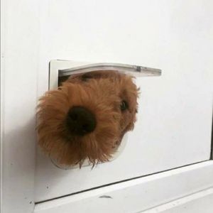 아웃백 빕스 15퍼 할인 판매해요