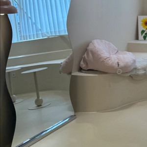 전신거울