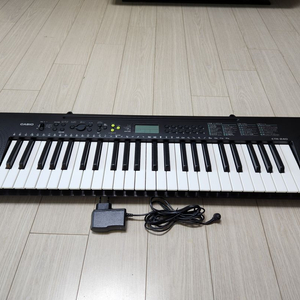 전자올겐 카시오 CTK-240
