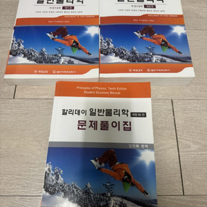할리데이 일반물리학 1,2 문제풀이집