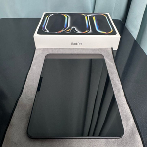 아이패드프로11 m4 256GB wifi