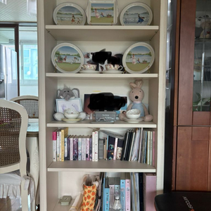 까사미아 카라걸 책장 판매해요