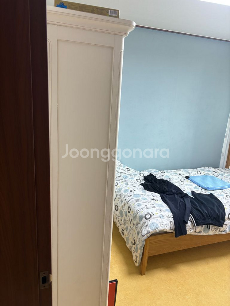 까사미아 카라걸 책장 판매해요--3