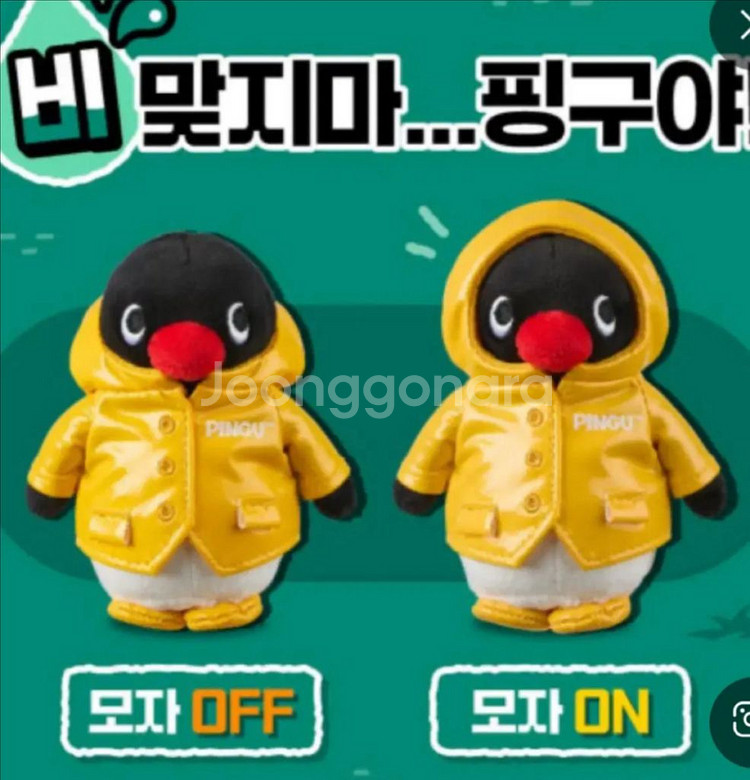 장미예--0