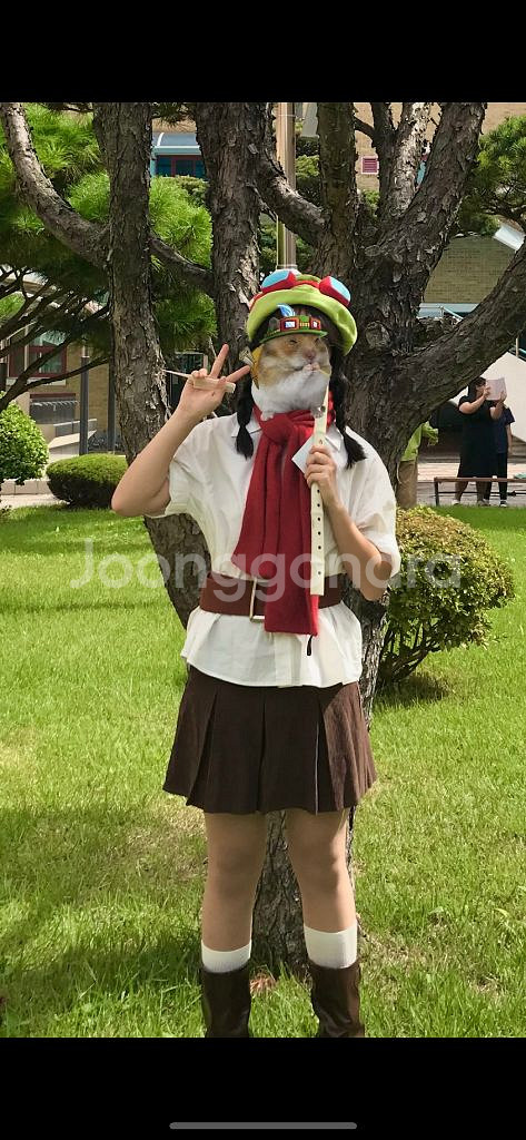 티모졸사 판매--3