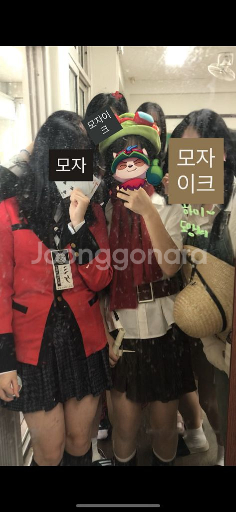 티모졸사 판매--2